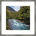 Hollyford River New Zealand Framed Print