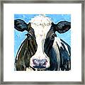 Holstein Cow 1 Head And Chest Framed Print