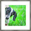 Home Is Where Your Dachshund Is Framed Print