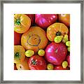 Homegrown Heirloom Tomatoes Framed Print