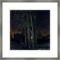 Hometree In The Universe Framed Print