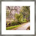 Honor Heights Pathway Framed Print