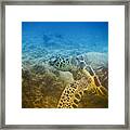 Honu Cruisin Hawaiian Sea Turtle Photobomb Selfie Framed Print