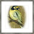 Hooded Warbler Framed Print