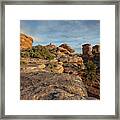 Hoodoo Hoedown Framed Print