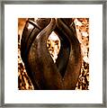 Hornbills Framed Print