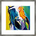 Horse - Up Close And Personal Framed Print