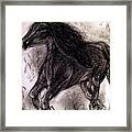 Horse Framed Print