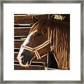 Horse Electric Framed Print