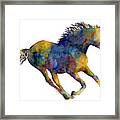 Horse Running Framed Print