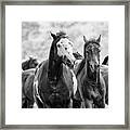 Horsepower Framed Print