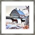 Horses And Barn Framed Print