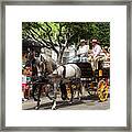 Horses And Carriage Framed Print