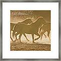 Horses And Dust Framed Print