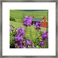 House On Virginia's Hills Framed Print