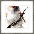 House Sparrow Framed Print