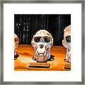 Human Female Male Gorilla Skulls Framed Print