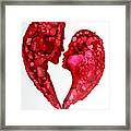 Human Heart Framed Print