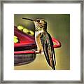 Hummer 1 Framed Print