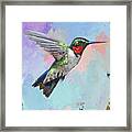 Hummingbird #4 Framed Print
