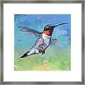 Hummingbird #8 Framed Print