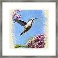 Hummingbird Beauty Blank Note Card Framed Print