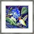 Hummingbird Delight Framed Print