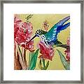 Hummingbird Ii Framed Print