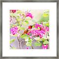 Hummingbird In Spring Framed Print