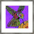 Hummingbird On Purple Framed Print