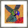 Hummingbird On Yellow Framed Print