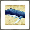 Humpback Whale Painting - Framed Framed Print