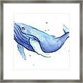 Humpback Whale Watercolor Framed Print