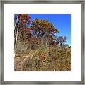 Hunting Season Framed Print