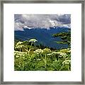 Hurricane Ridge Wildflowers And Clouds Framed Print