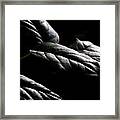 Hushed Framed Print