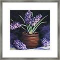 Hyacinths In A Pot Framed Print