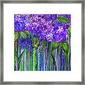 Hydrangea Bloomies 1 - Purple Framed Print