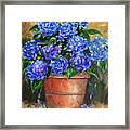 Hydrangeas In Pot Framed Print