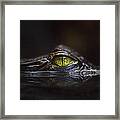 Hypnotic Framed Print