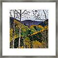 View Of Aspen From A Moving Car Framed Print