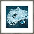 Ice And Stones - Iceland Black Beach Photograph Framed Print