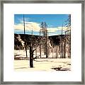 Ice Covered Trees In Yellowstone Framed Print
