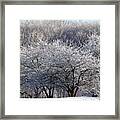 Ice Orchard Framed Print