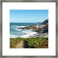 Ice Plant And The Pacific Ocean Framed Print