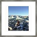 #iceland #ice #jokulsarlon #reykjavik Framed Print