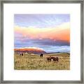 Icelandic Horses Under The Sunset Framed Print