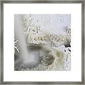 Icy Creatures Of The Mist Framed Print