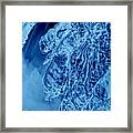 Icy Fingers Framed Print