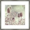 Icy Morning. Wild Grass Framed Print